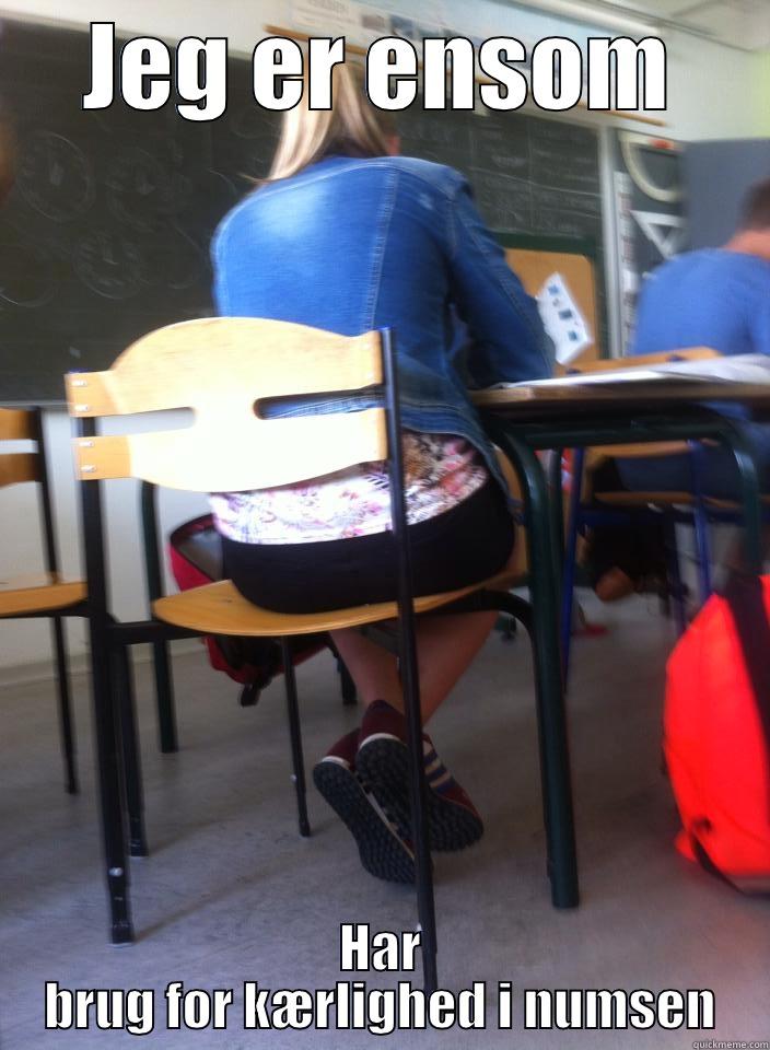 JEG ER ENSOM HAR BRUG FOR KÆRLIGHED I NUMSEN Misc