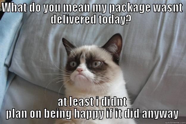 WHAT DO YOU MEAN MY PACKAGE WASNT DELIVERED TODAY?  AT LEAST I DIDNT PLAN ON BEING HAPPY IF IT DID ANYWAY Grumpy Cat