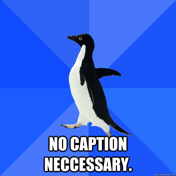  No caption neccessary.  Socially Awkward Penguin