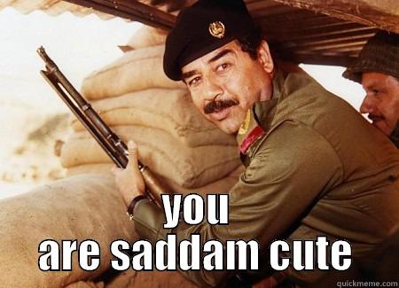  YOU ARE SADDAM CUTE Misc