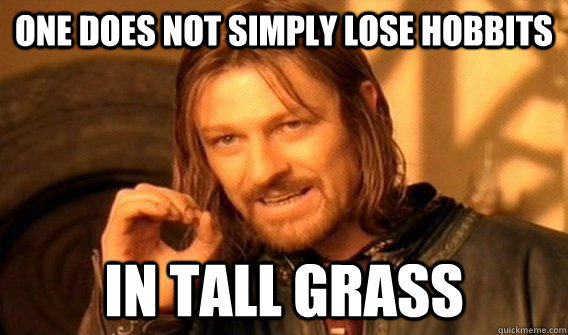 One does not simply lose Hobbits in tall grass  One does not simply beat skyrim