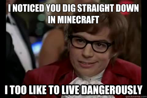 I noticed you dig straight down in minecraft i too like to live dangerously  Dangerously - Austin Powers
