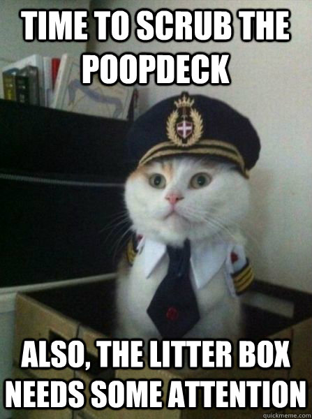time to scrub the poopdeck also, the litter box needs some attention  Captain kitteh