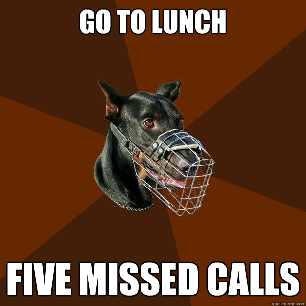 GO TO LUNCH FIVE MISSED CALLS  Developer Doberman