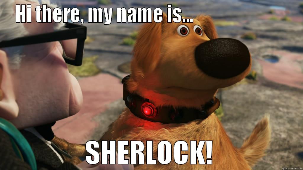 HI THERE, MY NAME IS...                           SHERLOCK! Misc
