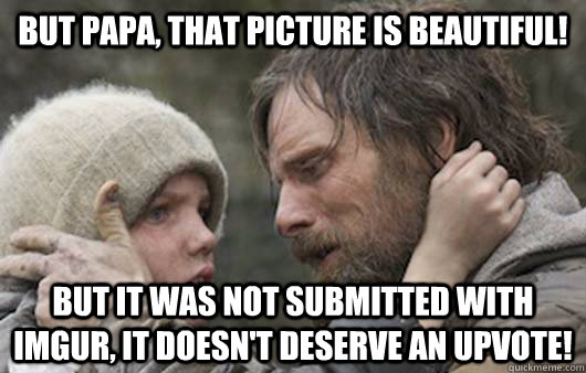 But papa, that picture is beautiful! but it was not submitted with imgur, it doesn't deserve an upvote! - But papa, that picture is beautiful! but it was not submitted with imgur, it doesn't deserve an upvote!  Viggo Explains Reddit