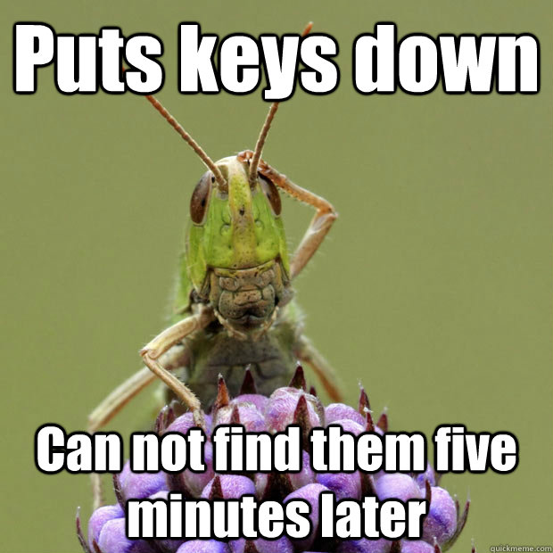 Puts keys down Can not find them five minutes later  Confused grasshopper