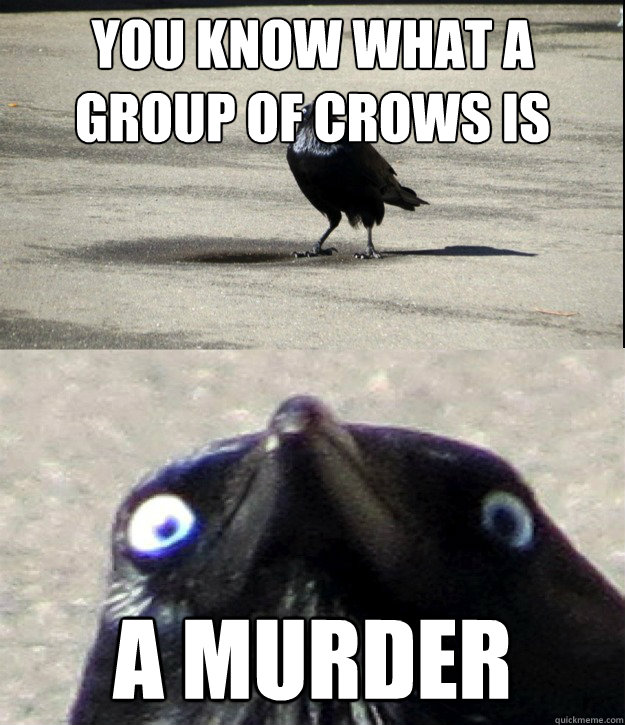 you know what a group of crows is called? A murder - you know what a group of crows is called? A murder  Insanity Crow