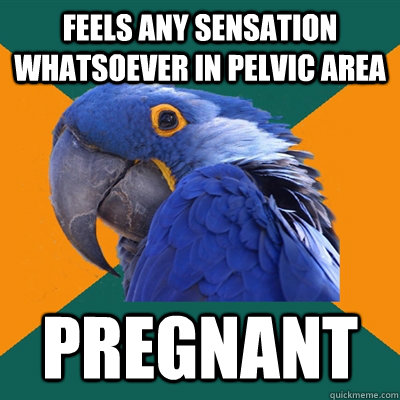 feels any sensation whatsoever in pelvic area pregnant  Paranoid Parrot