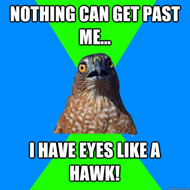 nothing can get past me... i have eyes like a hawk!  - nothing can get past me... i have eyes like a hawk!   Hawkward