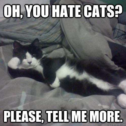 Oh, you hate cats? Please, tell me more.  