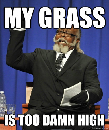 my grass Is too damn high  The Rent Is Too Damn High