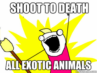 SHOOT TO DEATH ALL EXOTIC ANIMALS  All The Things