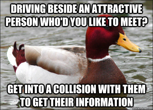 Driving Beside an attractive person who'd you like to meet? get into a collision with them to get their information  Malicious Advice Mallard