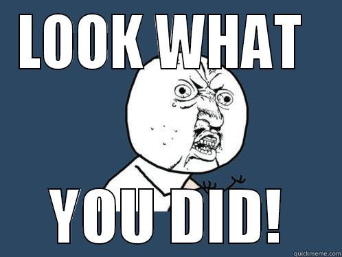 LOOK WHAT  YOU DID! Y U No