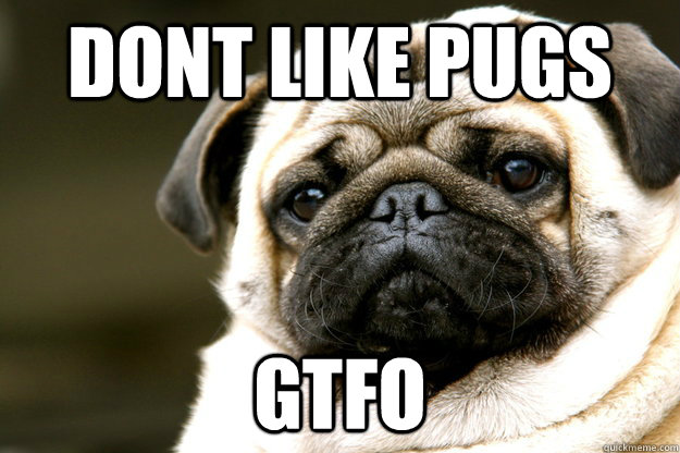 dont like pugs gtfo - dont like pugs gtfo  mad pug