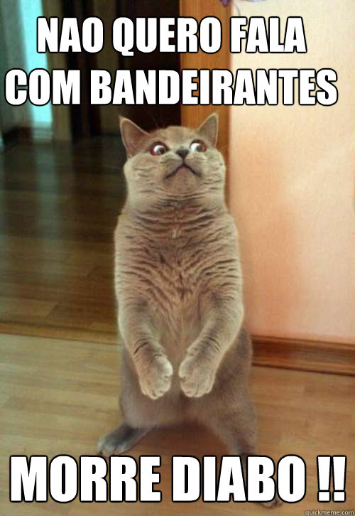 Nao quero fala com bandeirantes MORRE DIABO !! - Nao quero fala com bandeirantes MORRE DIABO !!  Horrorcat
