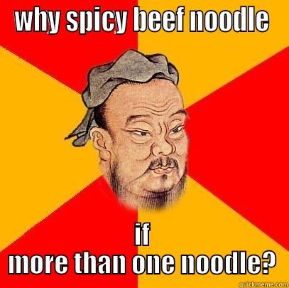 WHY SPICY BEEF NOODLE IF MORE THAN ONE NOODLE? Confucius says