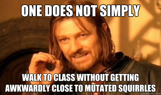 One Does Not Simply Walk to class without getting awkwardly close to mutated Squirrles   Boromir