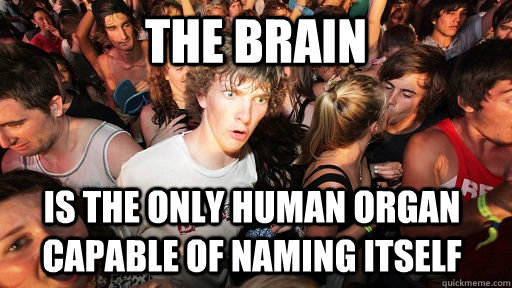 the brain is the only human organ capable of naming itself  Sudden Clarity Clarence
