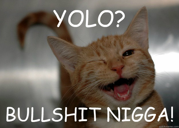 YOLO? BULLSHIT NIGGA!  Sarcastic Cat