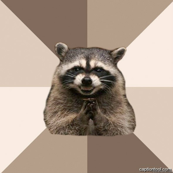   -    DLI scheming raccoons