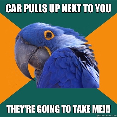 Car pulls up next to you THEY're going to take me!!!  Paranoid Parrot