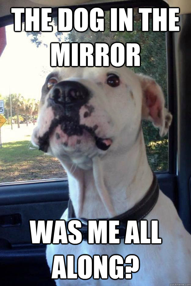 The dog in the mirror Was me all along? - The dog in the mirror Was me all along?  Misc
