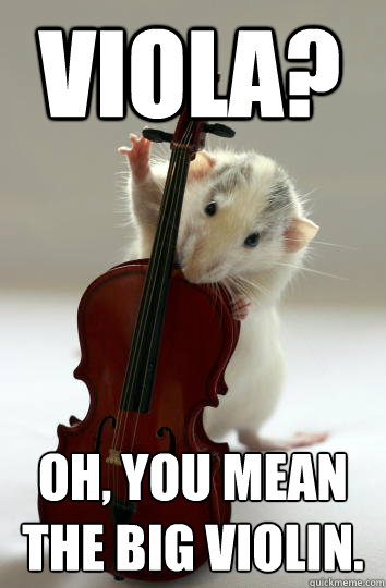 Viola? Oh, you mean the big violin. - Viola? Oh, you mean the big violin.  OrchestRat