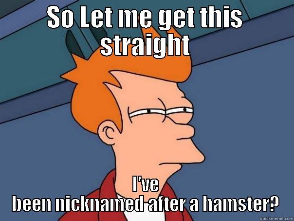 SO LET ME GET THIS STRAIGHT I'VE BEEN NICKNAMED AFTER A HAMSTER? Futurama Fry