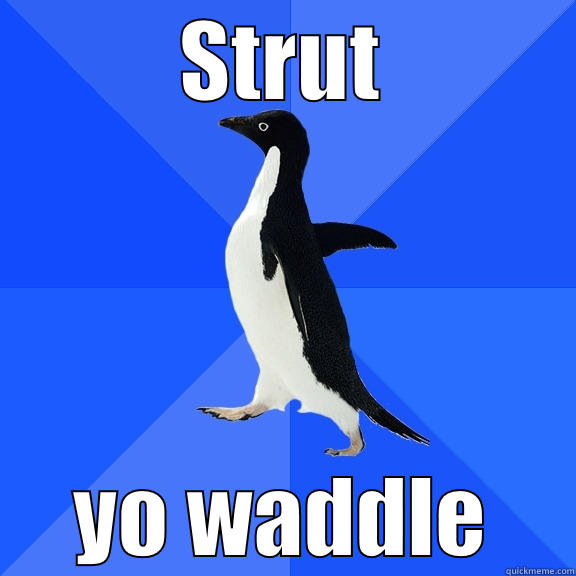 STRUT YO WADDLE Socially Awkward Penguin