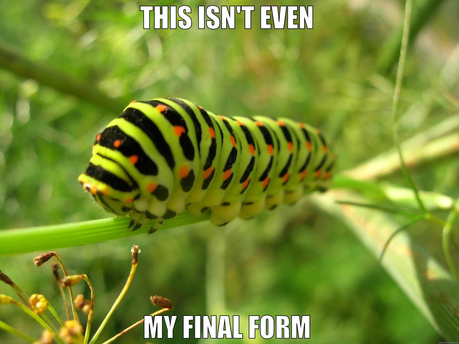DBZ caterpillar - THIS ISN'T EVEN MY FINAL FORM Misc