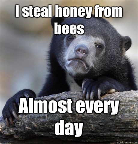 I steal honey from bees Almost every day  Confession Bear