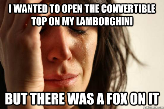 I wanted to open the convertible top on my Lamborghini But there was a fox on it  First World Problems