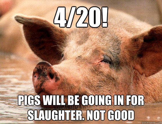 4/20! Pigs will be going in for slaughter. Not good  Stoner Pig