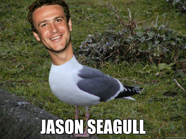  Jason Seagull -  Jason Seagull  Jason Seagull