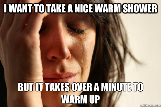 I want to take a nice warm shower But it takes over a minute to 
warm up  First World Problems