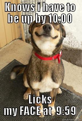 KNOWS I HAVE TO BE UP BY 10:00 LICKS MY FACE AT  9:59 Good Dog Greg