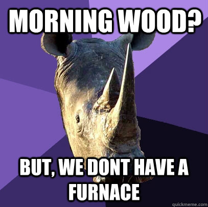 Morning wood? But, we dont have a furnace  Sexually Oblivious Rhino