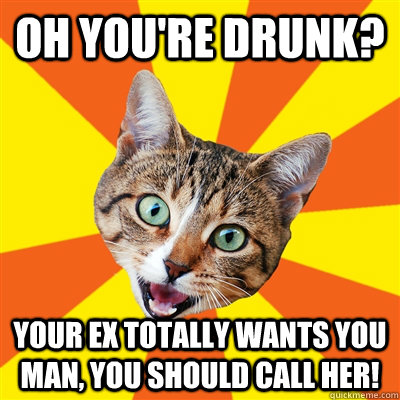 Oh you're drunk? Your Ex totally wants you man, you should call her!  Bad Advice Cat