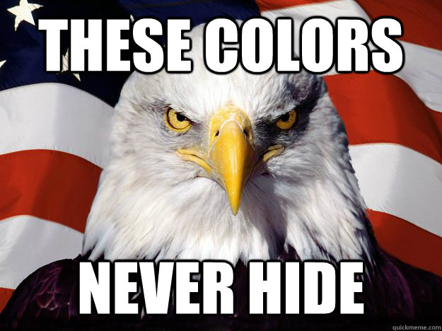 THESE COLORS NEVER HIDE  One-up America