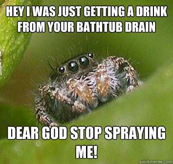Hey I was just getting a drink from your bathtub drain DEAR GOD Stop spraying me!  Misunderstood Spider