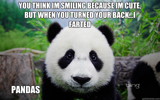 PANDAS YOU THINK IM SMILING BECAUSE IM CUTE, BUT WHEN YOU TURNED YOUR BACK...I FARTED - PANDAS YOU THINK IM SMILING BECAUSE IM CUTE, BUT WHEN YOU TURNED YOUR BACK...I FARTED  PANDASSILENT BUT DEADLY