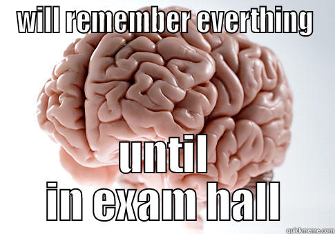 WILL REMEMBER EVERTHING UNTIL IN EXAM HALL Scumbag Brain