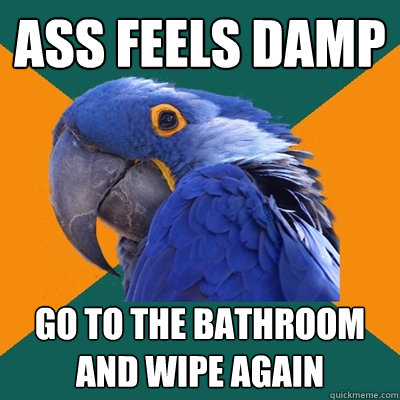 ass feels damp go to the bathroom and wipe again - ass feels damp go to the bathroom and wipe again  Paranoid Parrot