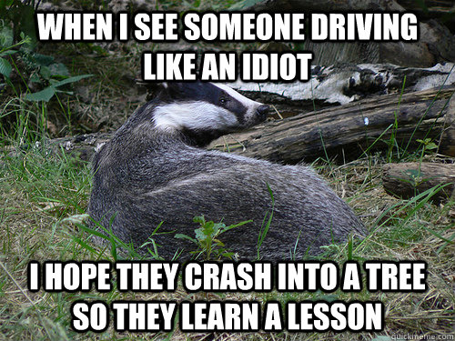 When I see someone driving like an idiot I hope they crash into a tree so they learn a lesson - When I see someone driving like an idiot I hope they crash into a tree so they learn a lesson  Bastard Badger