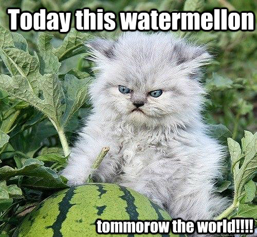 Today this watermellon  tommorow the world!!!!  