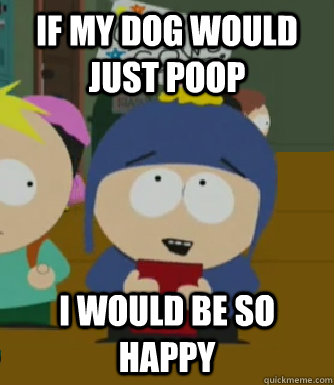 If my dog would just poop  I would be so happy  Craig - I would be so happy