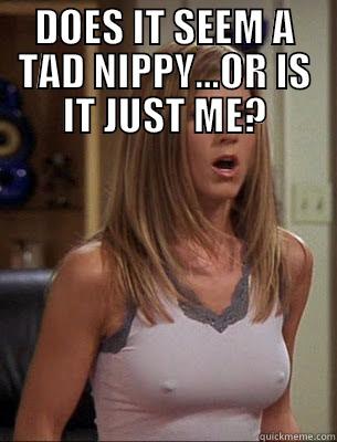 DOES IT SEEM A TAD NIPPY...OR IS IT JUST ME?  Misc