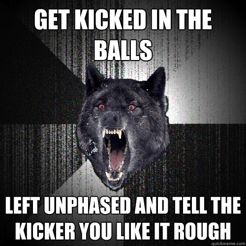 get kicked in the balls left unphased and tell the kicker you like it rough  Insanity Wolf